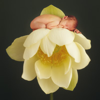 MI APRNDIZAJE EN LAS CLASES DE NUEVAS TECNOLOG&Iacute;AS